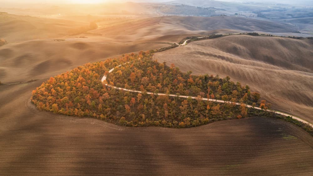 Golden Autumn Road by Luigi Ruoppolo — canvas wall art