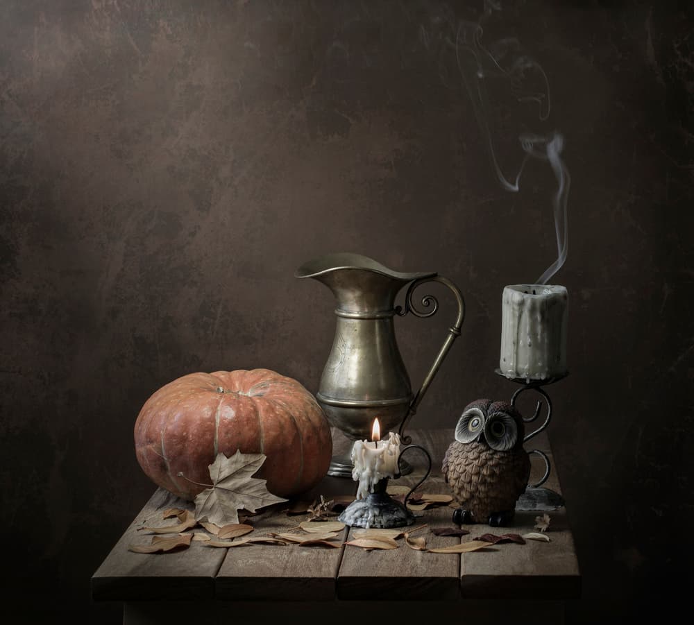 Pumpkin Owl Still Life by Margareth Perfoncio — canvas wall art