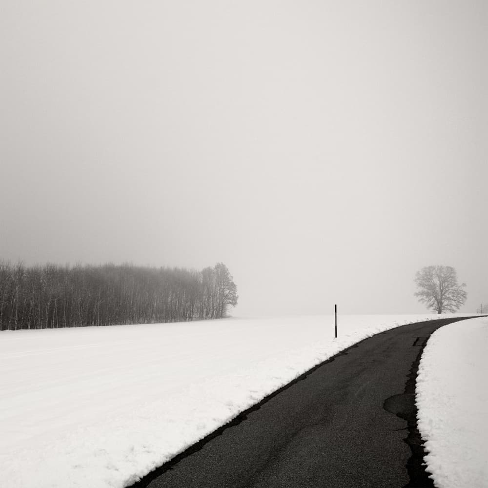 Misty Winter Road by Lena Weisbek — canvas wall art