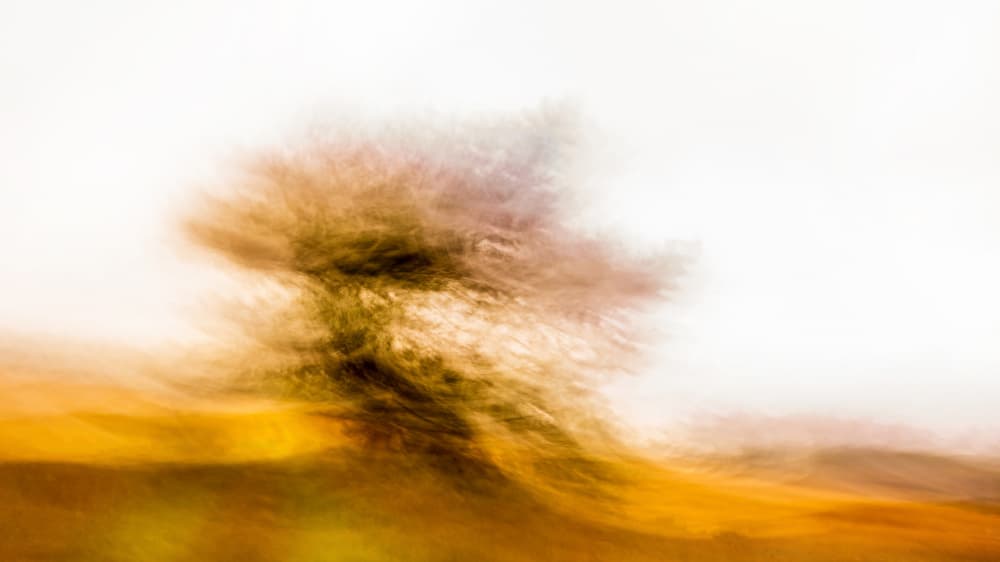 Golden Abstract Tree by Ina Bouhuijzen — canvas wall art