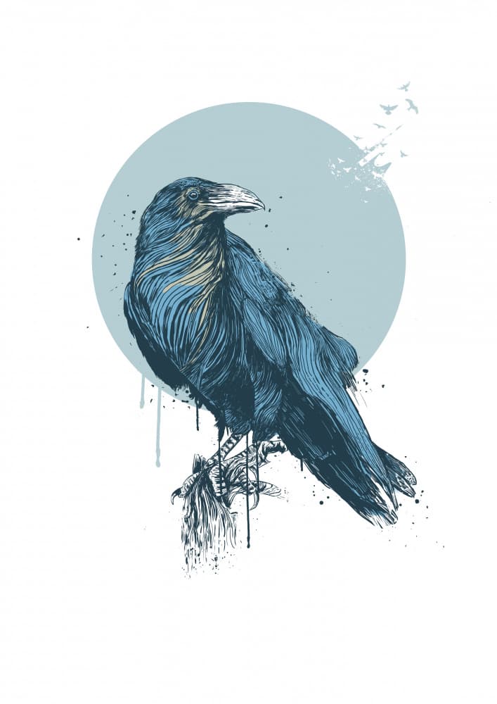 Ethereal Raven Flight by Balazs Solti — canvas wall art
