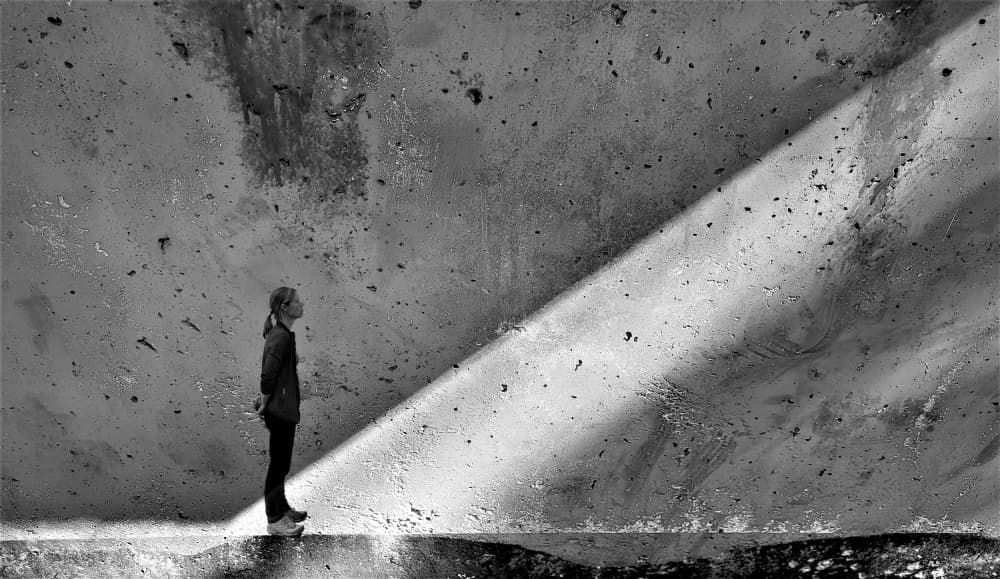 Upward Gaze In Light by Huib Limberg — canvas wall art