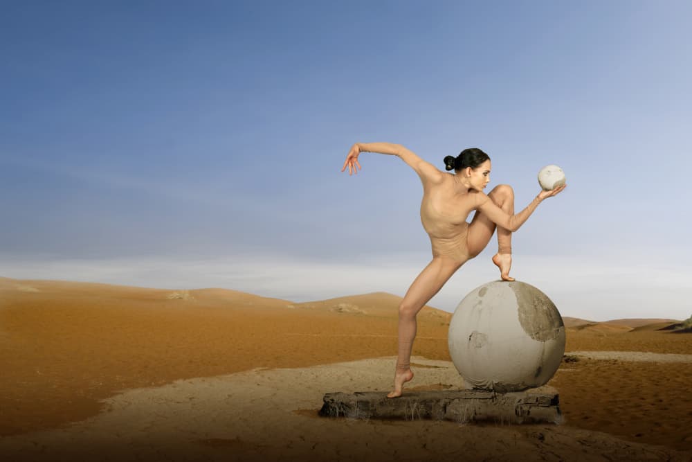 Graceful Desert Balance by Christine von Diepenbroek — canvas wall art