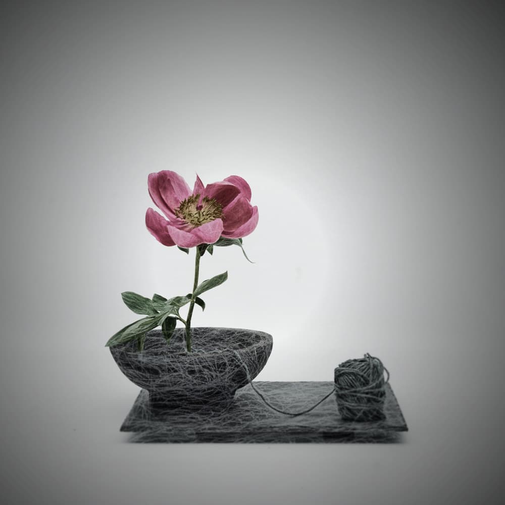 Threaded Pink Blossom Scene by Saskia Dingemans — canvas wall art