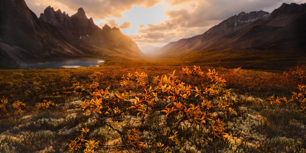 Golden Autumn Valley by Jennie Jiang — canvas wall art