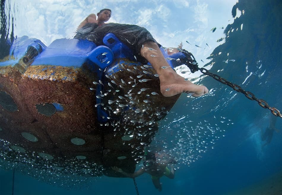 Man With Ocean Fish by Andrey Narchuk — canvas wall art