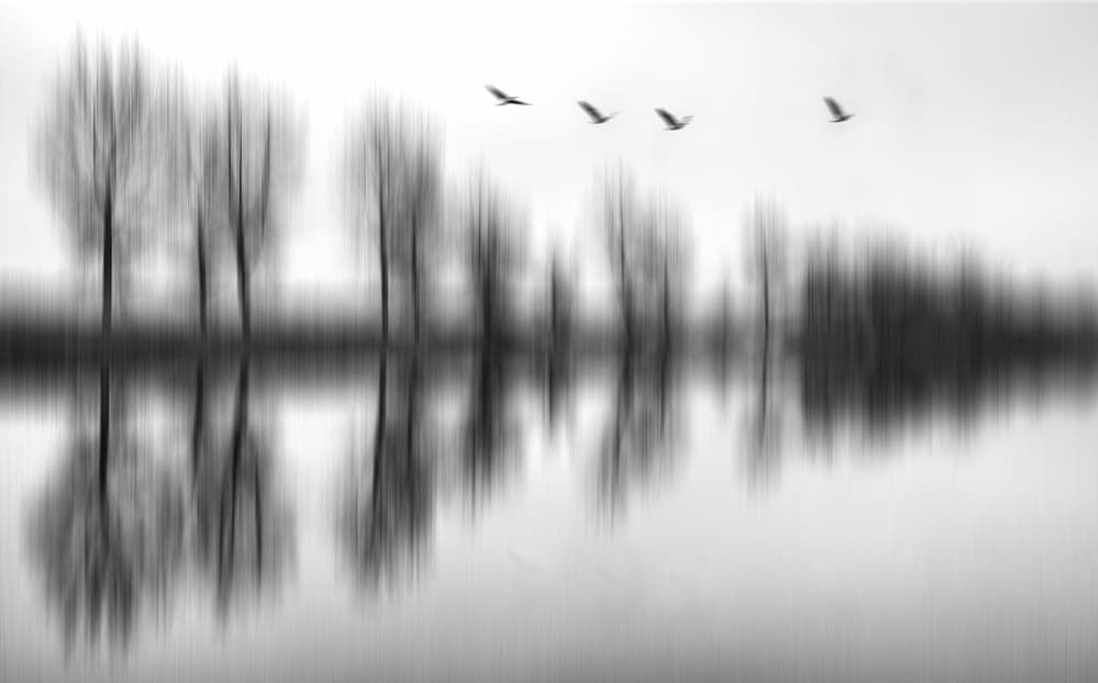 Serene Flight Reflections by Yvette Depaepe — canvas wall art