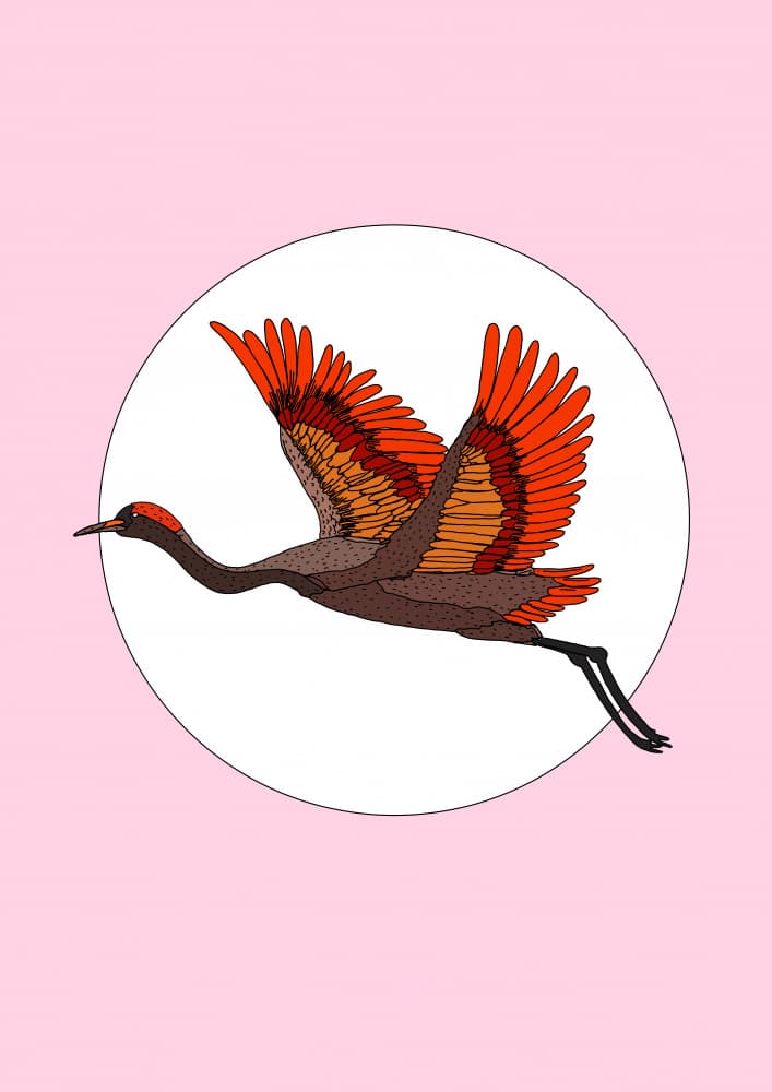 Vibrant Crane Flight by Nicholas — canvas wall art