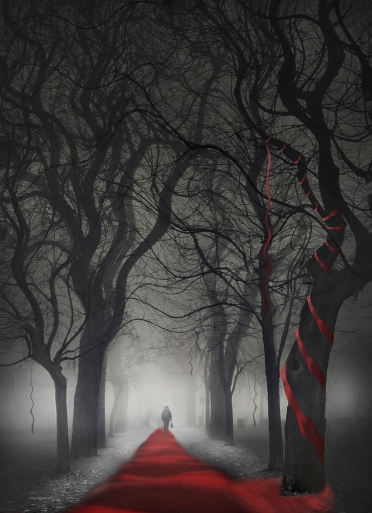 Red Path Dark Trees by David Senechal Photographie (polydactyle) — canvas wall art