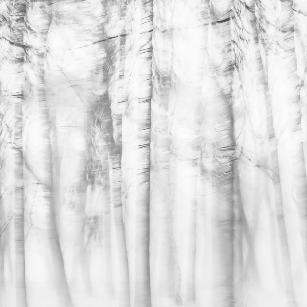 Ethereal Tree Lines by Imaginative — canvas wall art