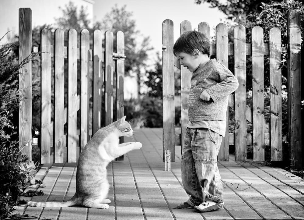 Playful Boy and Cat by Lior Yaakobi — canvas wall art