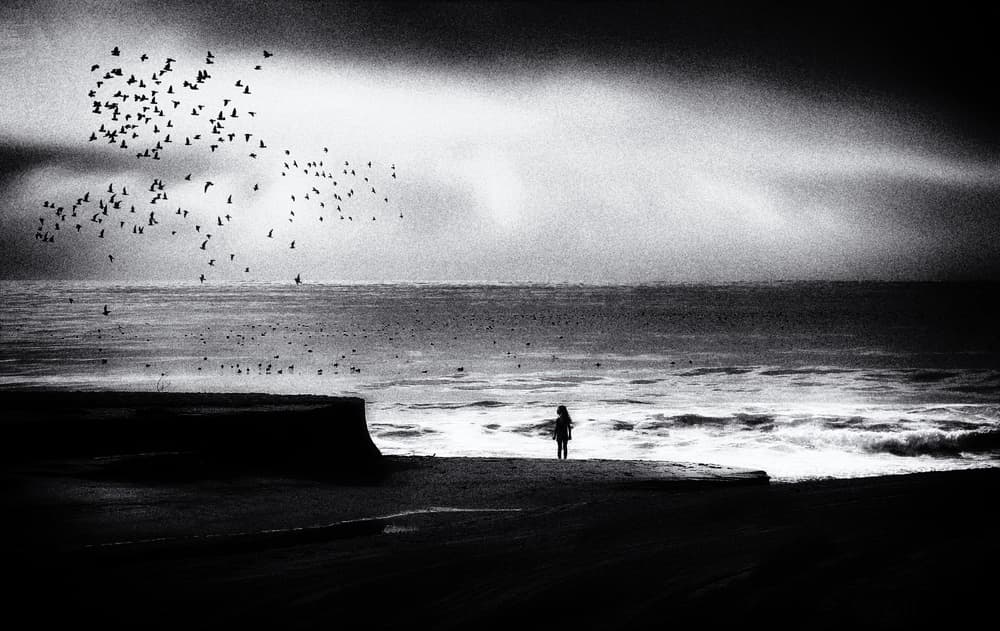 Lone Figure Ocean Birds by Roxana Labagnara — canvas wall art