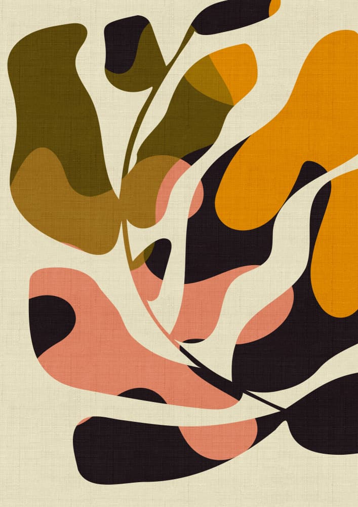 Mid Century Matisse Kopie by Ana Rut Bre — canvas wall art