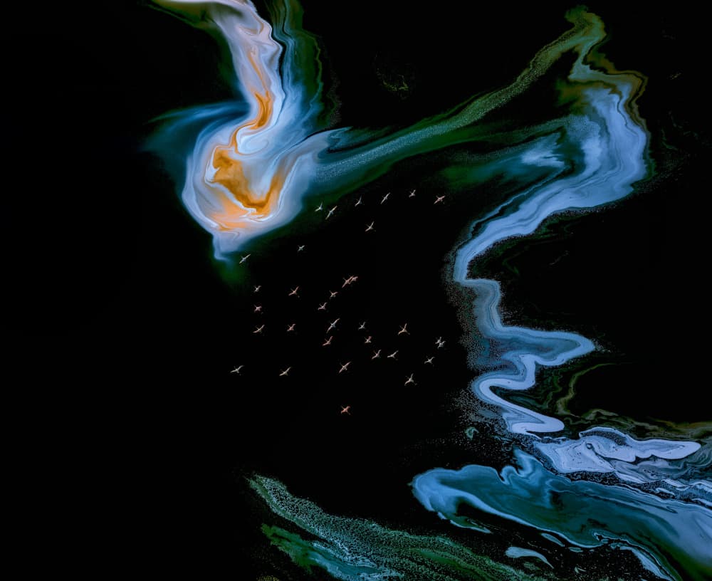 Flamingos Over Fluid Waters by Jun Zuo — canvas wall art