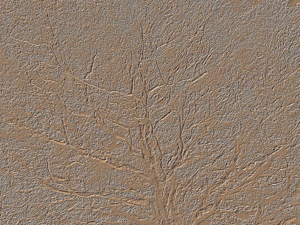 Textured Tree Branches by Santhosh ch — canvas wall art