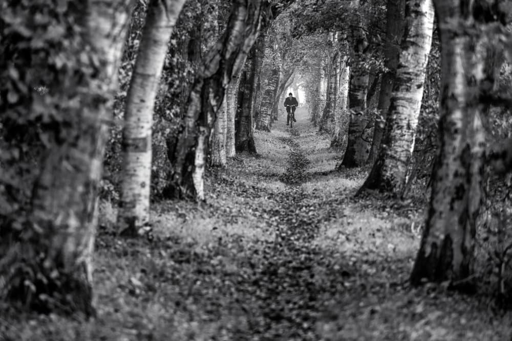 Solitary Bicycle Ride by Andreas Klesse — canvas wall art