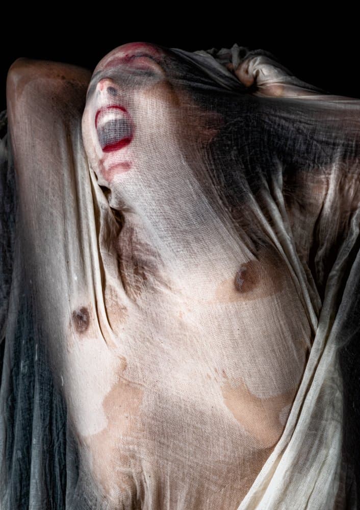 Screaming Human Struggle by Colin Dixon — canvas wall art