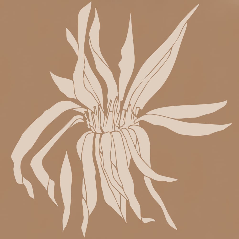 Organic Petal Bloom by Dina Dankers — canvas wall art