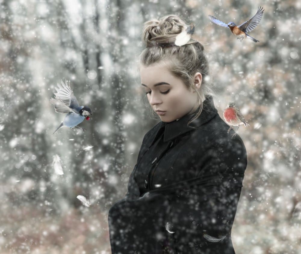 Winter's Gentle Companions by Ewa Całkosińska-Kajzer — canvas wall art