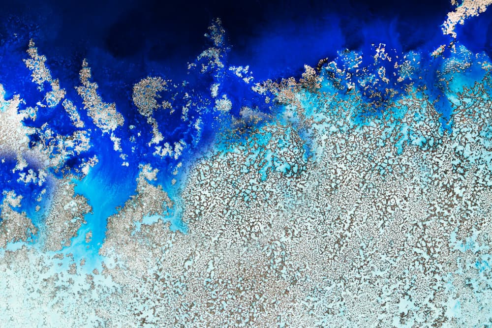 Aerial Ocean - Cosmic Coral by Petra Meikle de Vlas — canvas wall art