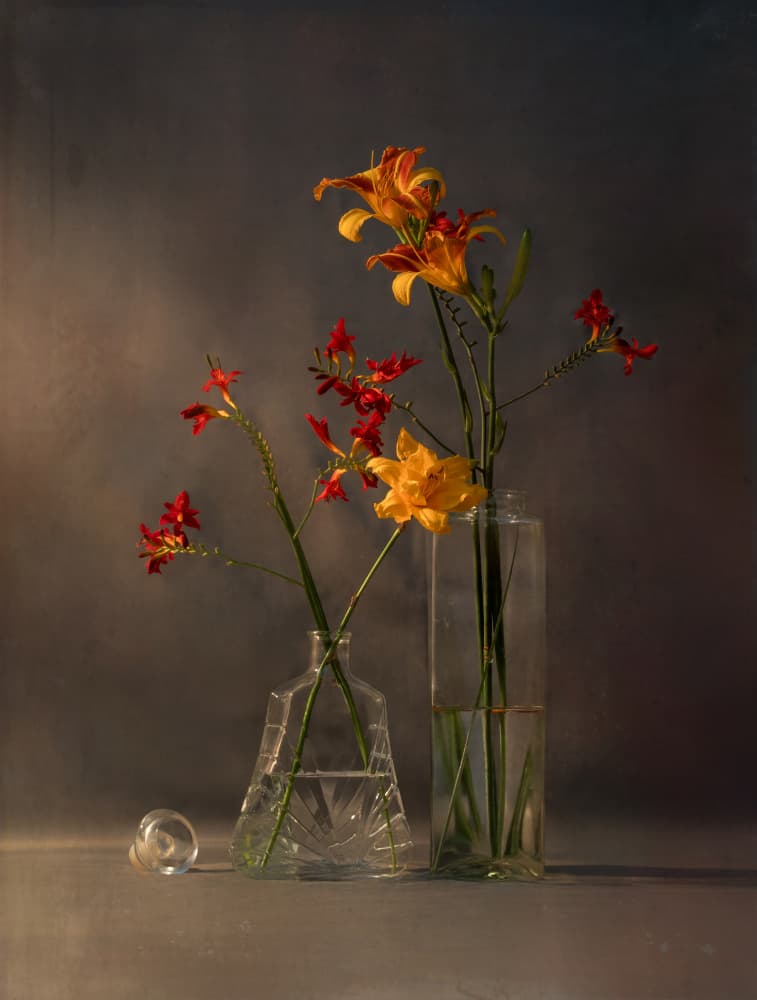 Vibrant Blooms in Light by Yi Pan — canvas wall art