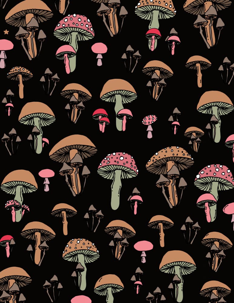 Enchanted Mushroom Pattern by Nicholas — canvas wall art