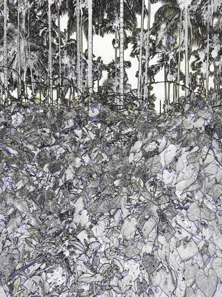 Lush Jungle Palms by Santhosh ch — canvas wall art