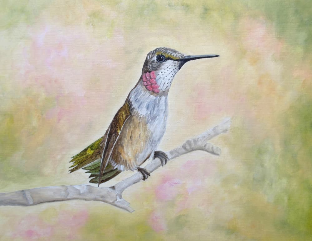 Perched Ruby Hummingbird by Angeles M. Pomata — canvas wall art