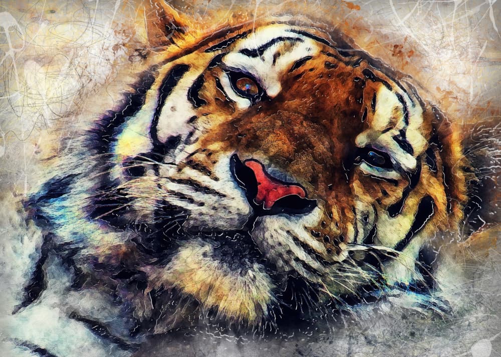 Colorful Tiger Portrait by Justyna Jaszke — canvas wall art