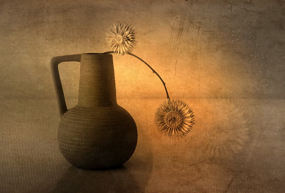 Warm Rustic Thistles by Elena Arjona — canvas wall art