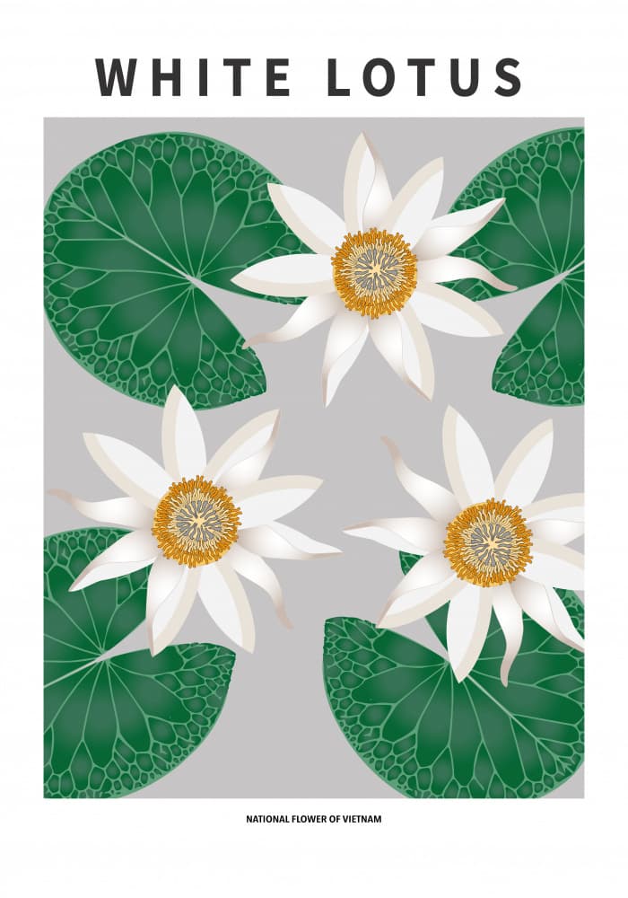 White Lotus Bloom by Paperago — canvas wall art