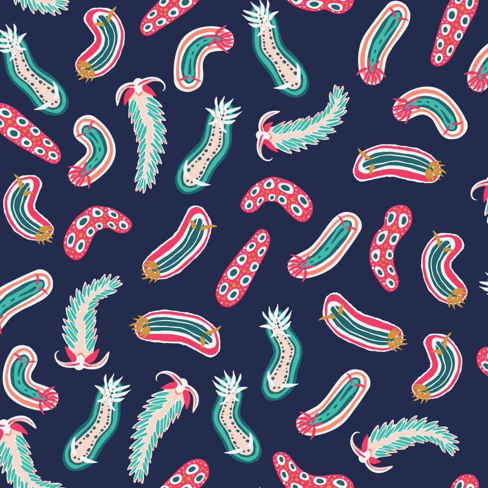 Vibrant Sea Slugs by Alexandra Weise — canvas wall art