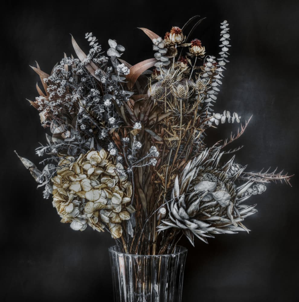 Elegant Dried Flowers by 大山　儀高 — canvas wall art