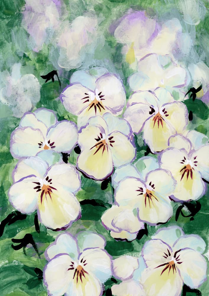 Delicate Pansy Blooms by Rosana Laiz Blursbyai — canvas wall art