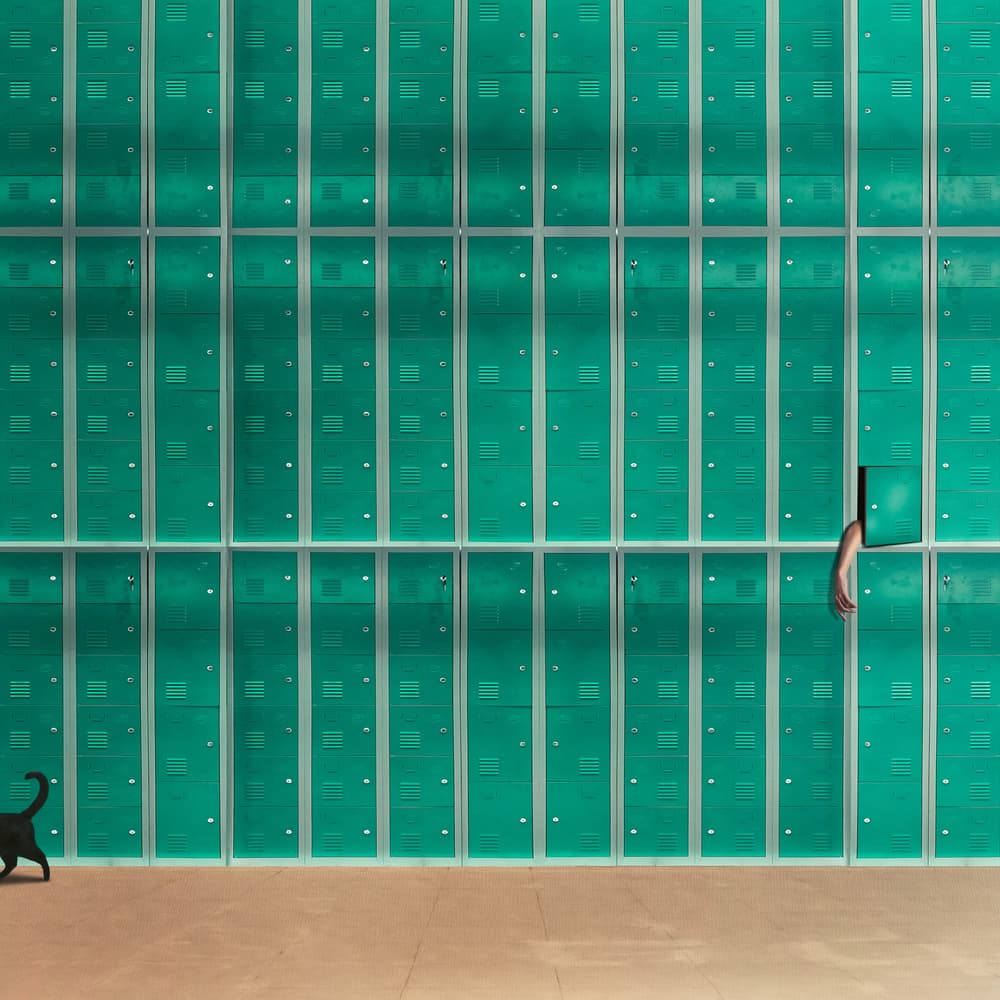 Curious Cat Open Locker by hardibudi — canvas wall art