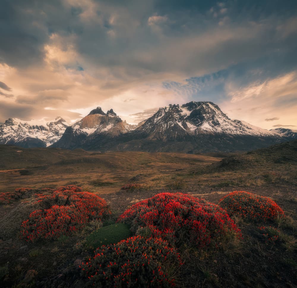 Vibrant Mountain Wilderness by Willa Wei — canvas wall art