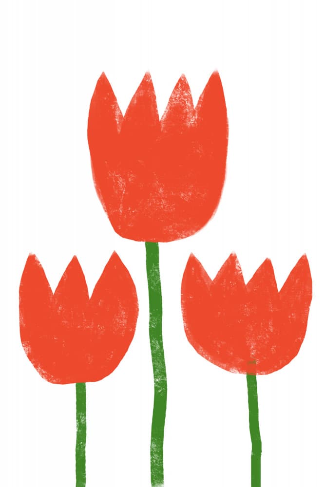 Red Tulip Trio by uplusmestudio — canvas wall art