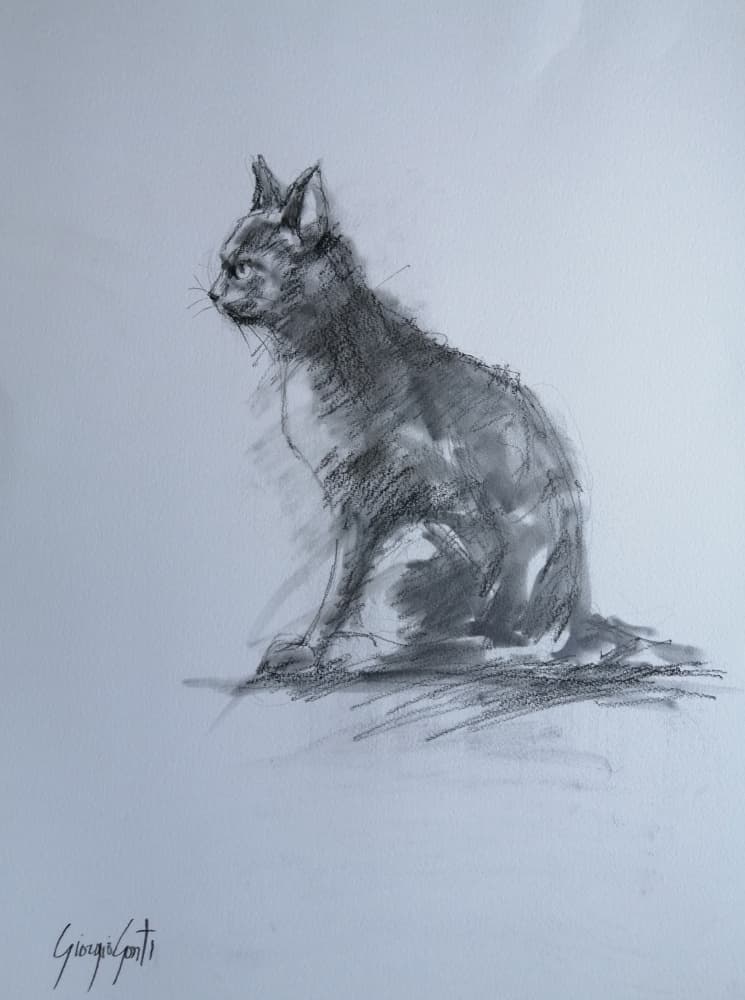 Watchful Charcoal Cat by Giorgio Gosti — canvas wall art