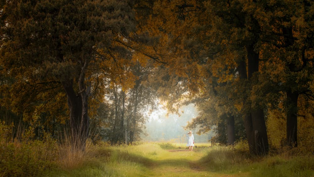Misty Forest Path by Klaus Heuermann — canvas wall art