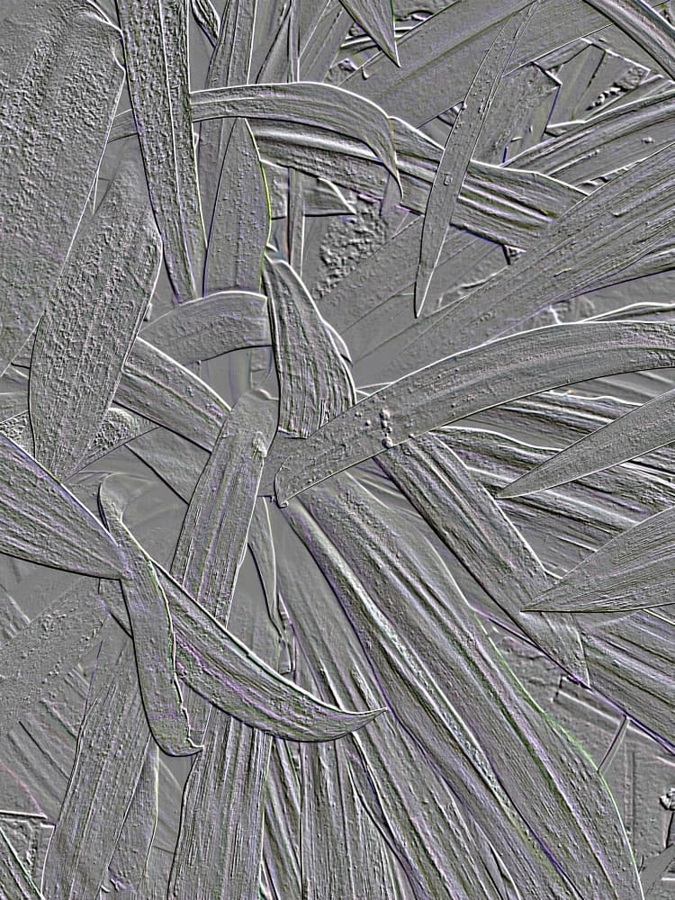 Textured Bamboo Leaves by Santhosh ch — canvas wall art