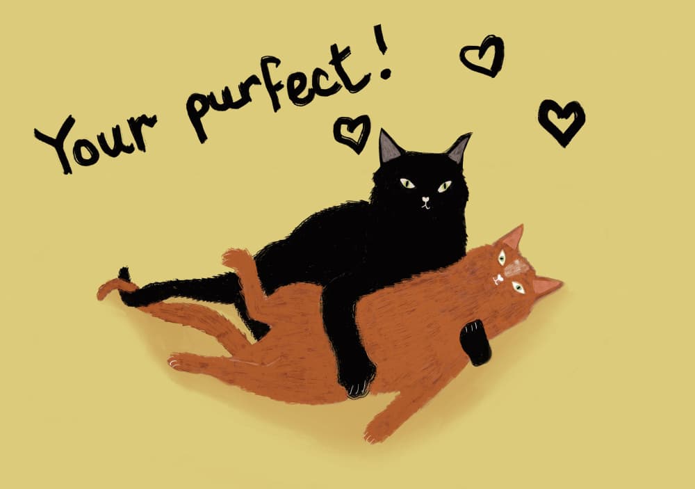 Purrfect Cat Couple by Sharyn Bursic — canvas wall art