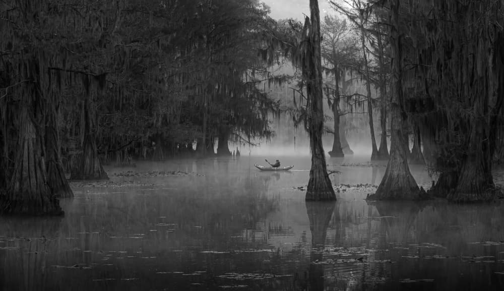 Foggy Swamp Kayak by Johnson Huang — canvas wall art