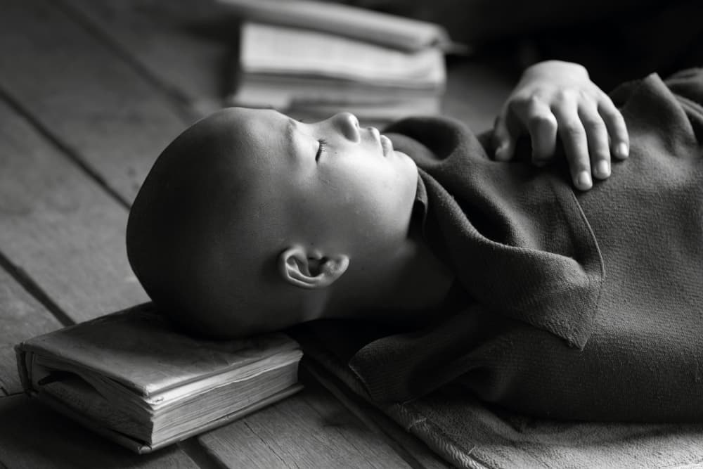 Peaceful Young Monk by Walde Jansky — canvas wall art