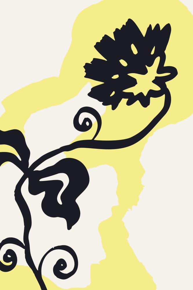 Stylized Black Bloom by Anna Rose — canvas wall art