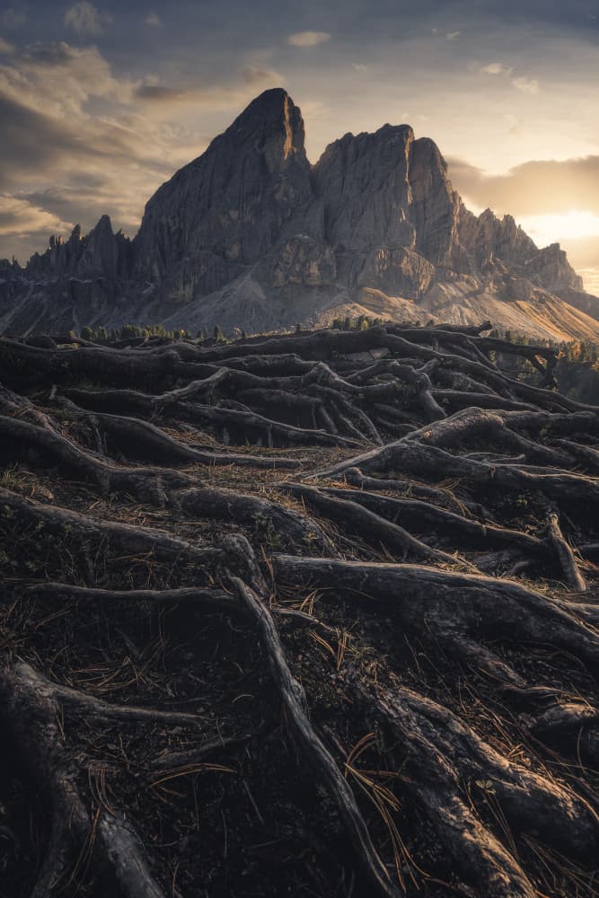 Dramatic Mountain Roots by Thomas de Franzoni — canvas wall art