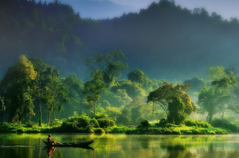 Misty Forest Lake by hardibudi — canvas wall art
