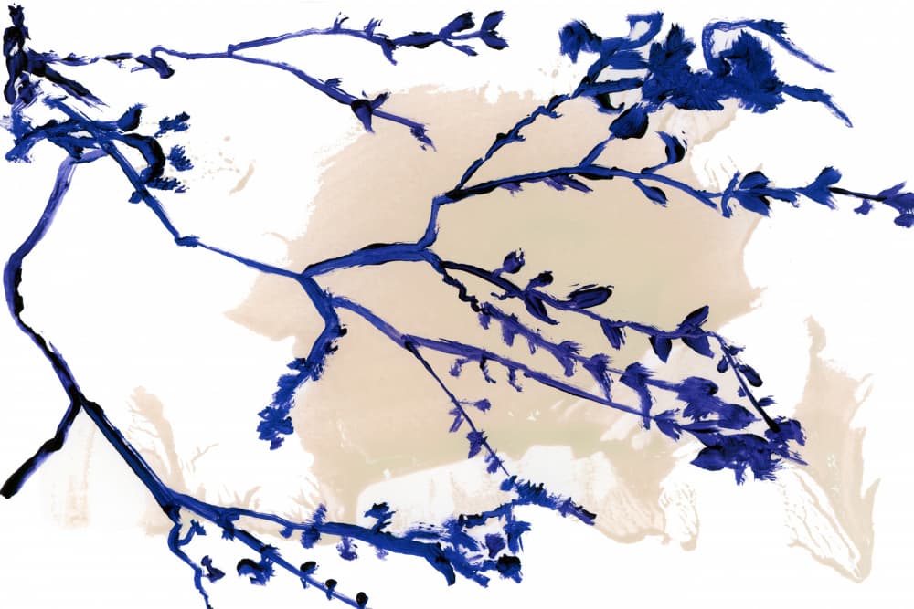 Indigo Spring Branches by cartissi — canvas wall art