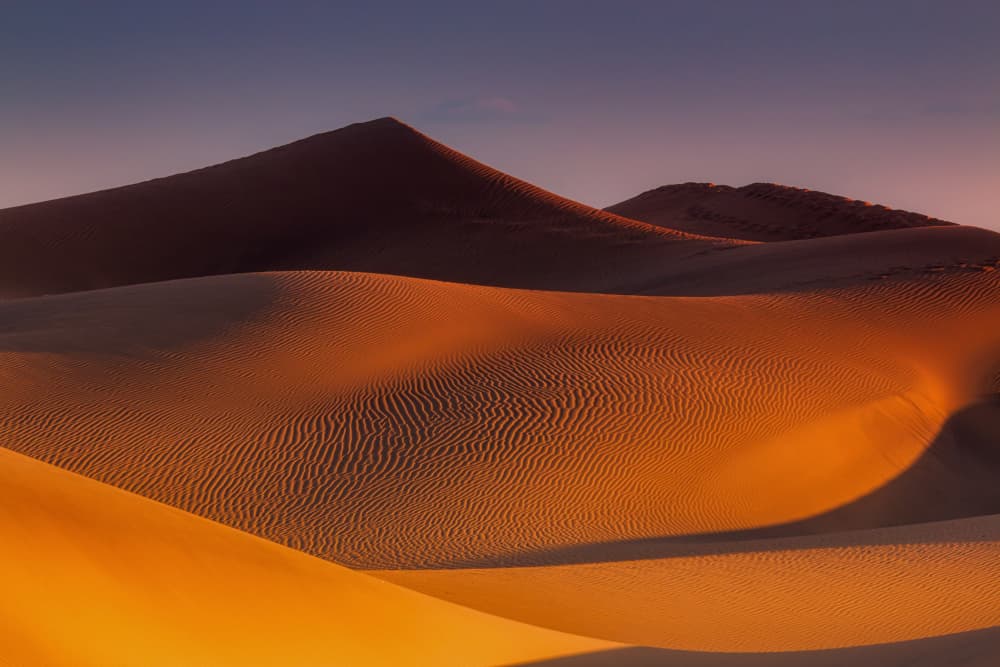 Golden Desert Dunes by Jesus Concepcion Alvarado — canvas wall art