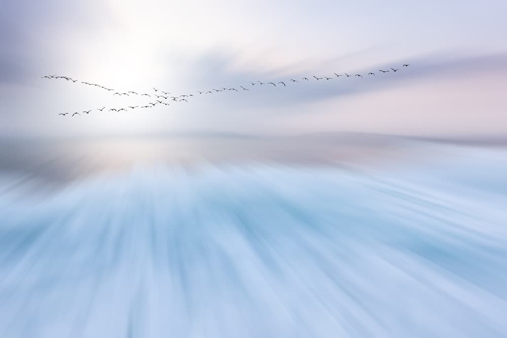 Dynamic Flight Abstract by Uschi Hermann — canvas wall art