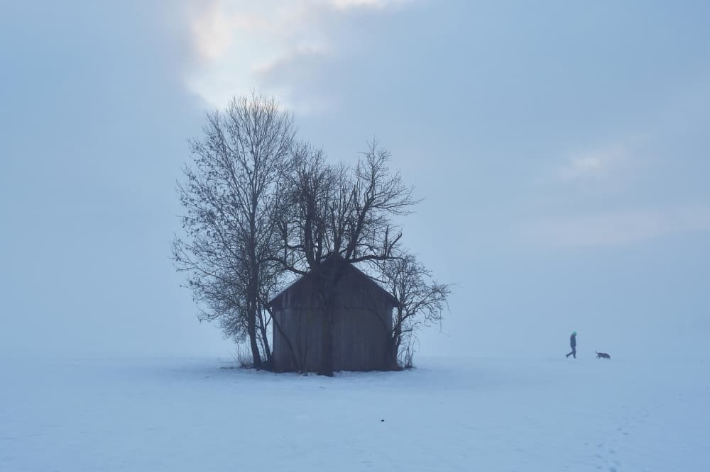 Winter Cabin Walk by Bojan Kolman — canvas wall art